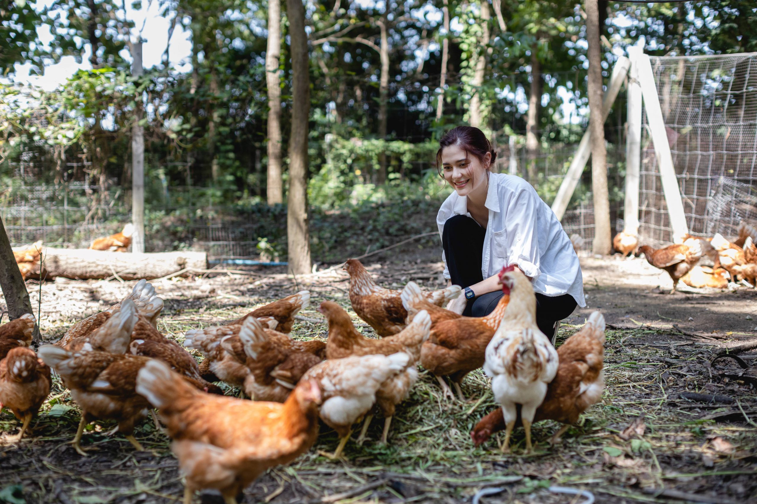 มารีญา ทูตองค์กรพิทักษ์สัตว์แห่งโลก ประเทศไทย ชวนฟังเสวนาเปิดเบื้องลึกวิกฤตควันพิษข้าวโพดอาหารสัตว์ : ใครต้องรับผิดชอบ : 7 มิถุนายนนี้